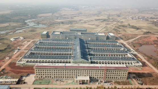 2022_乐盈VI官网